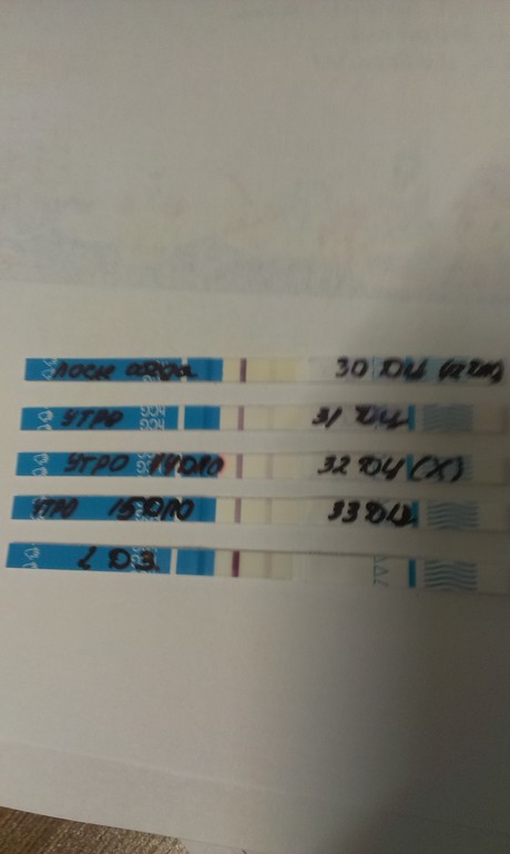 Посмотрите динамику , девочки.