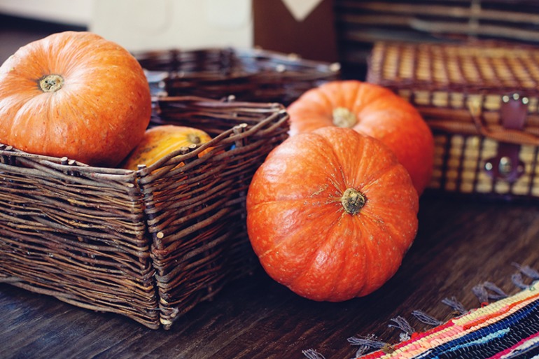 Осень в М-студио