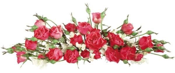 Благодарю за помощь!