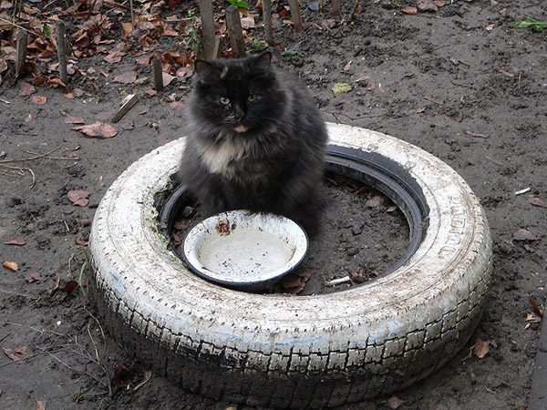 На прогулке (фото)