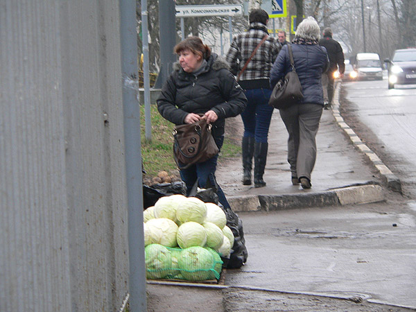 На прогулке (фото)