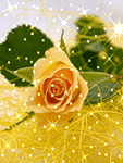 0be7d62ca2e6154b83af94961602aee5.gif