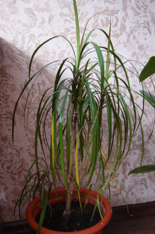 Мои любимки))