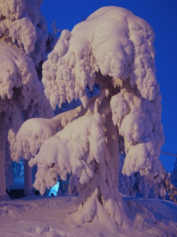 НГ праздники и Рождество в ФИНЛЯНДИИ. Отдых для всей семьи!