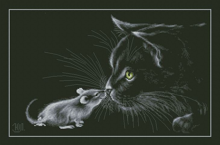 DMC или Мадейра?))))))))))