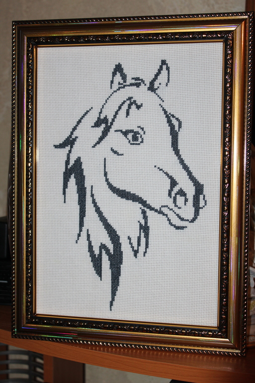 Моя работа!!!!!!!!!!Конь Оформила