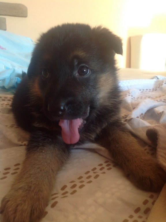 Стал/был.вымахал мальчишка))