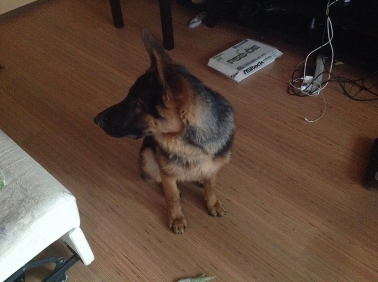 Стал/был.вымахал мальчишка))