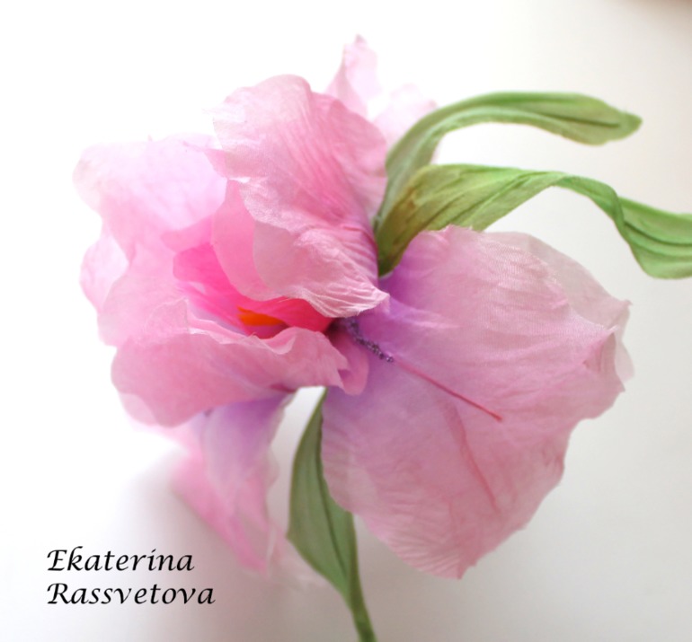 Шелковый Ирис