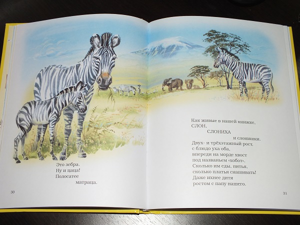 Книжные пополнения ноября