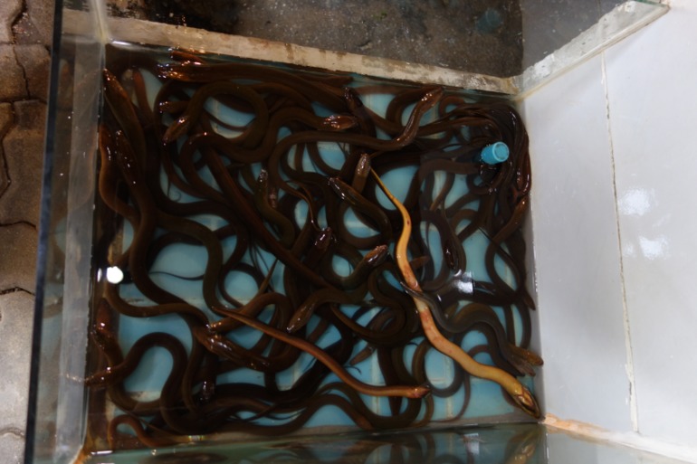 Москва-Бангкок-Пхукет-Самуи-Пхукет-Бангкок-Москва (много фото)