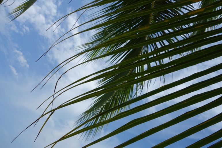 Москва-Бангкок-Пхукет-Самуи-Пхукет-Бангкок-Москва (много фото)