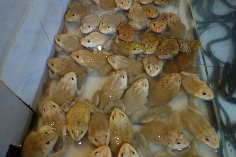 Москва-Бангкок-Пхукет-Самуи-Пхукет-Бангкок-Москва (много фото)