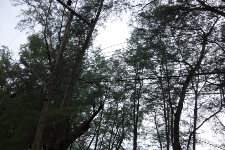 Москва-Бангкок-Пхукет-Самуи-Пхукет-Бангкок-Москва (много фото)