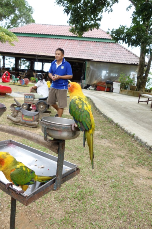 Москва-Бангкок-Пхукет-Самуи-Пхукет-Бангкок-Москва (много фото)