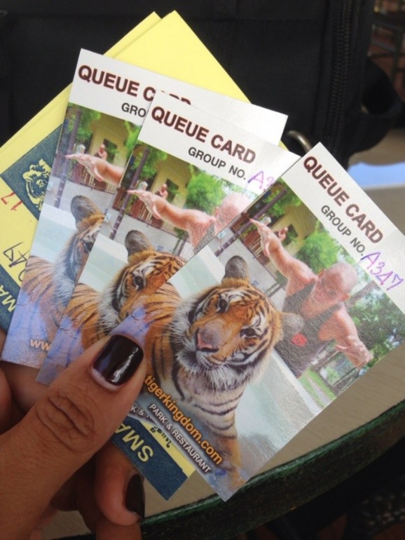 Парк Тигров на Пхукете «Tiger Kingdom»