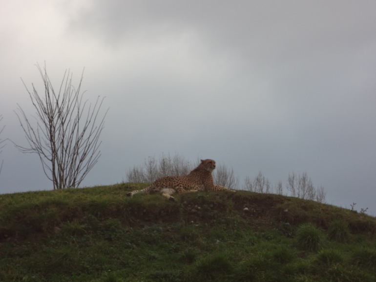 Отдых в Праге. День третий