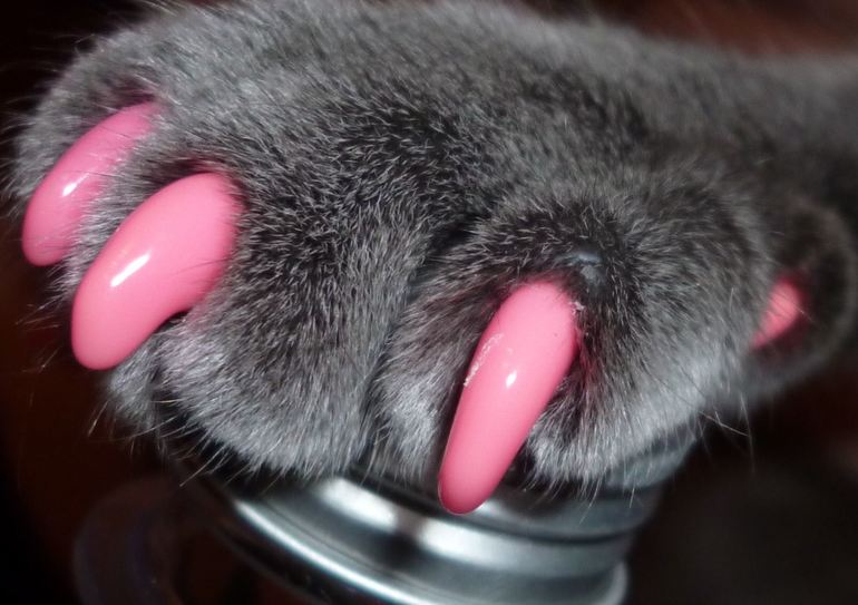 Антицарапки ЗА и ПРОТИВ.