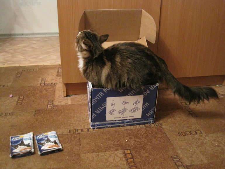 Спасибо фее-снегурочке