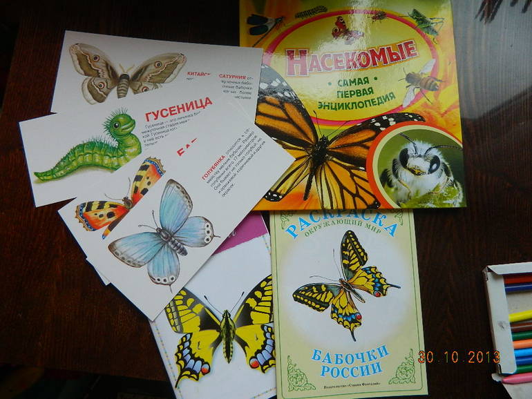 ТН "Бабочки" 2г2мес