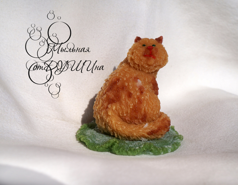 КотЭ, любитель водных процедур