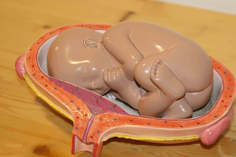 Экспериментаниум (часть 2).