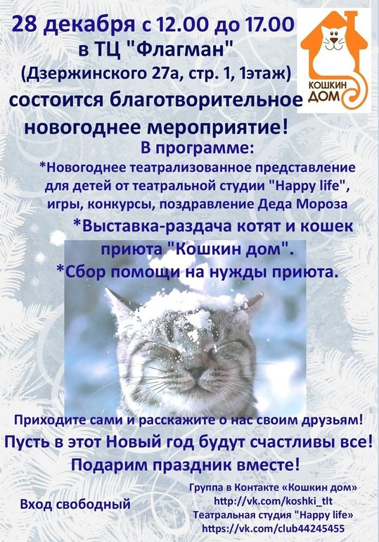 У нас в Тольятти есть приют