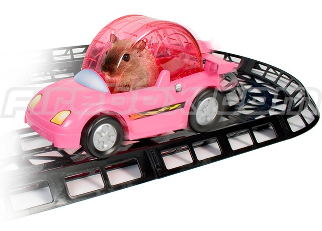 Что ни сделаешь для любимца!