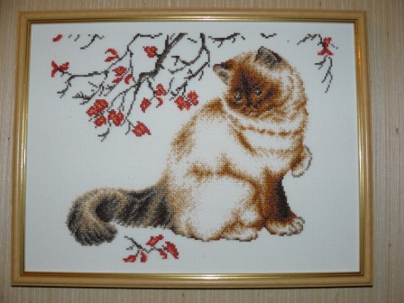 Мои работы за этот год