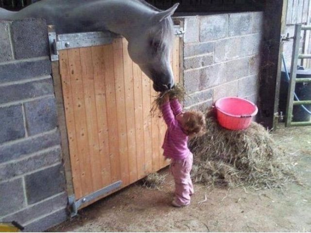 Мяу, гав и многое-многое другое:)