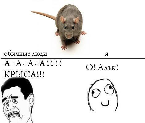 Громыко - я тебя лю...