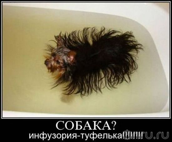 5e5cafec4edb3c3441541b3f4f24aad2.jpg