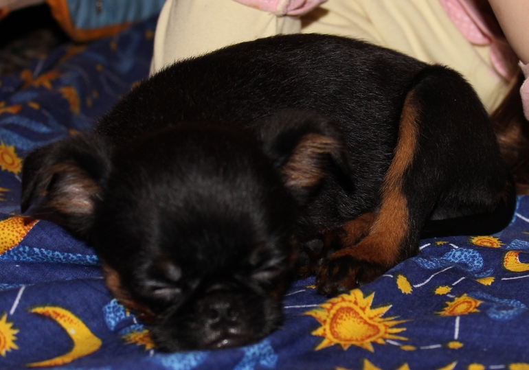 Лучший мой подарочек, это ты. Или, как звать величать будем???