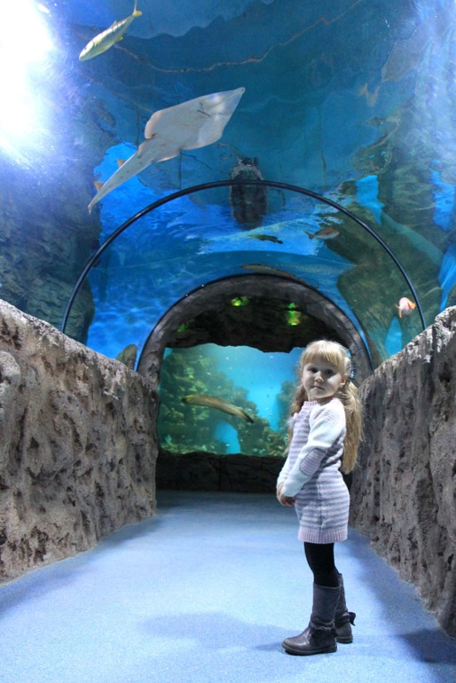 Океанариум в Москве