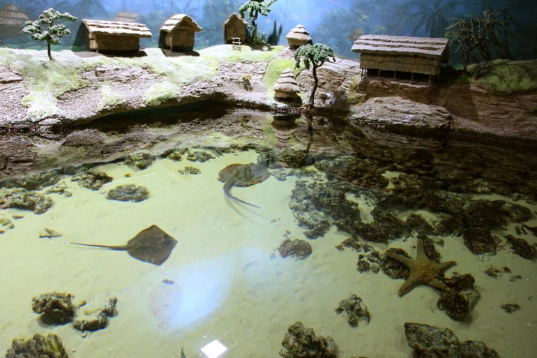 Океанариум в Москве