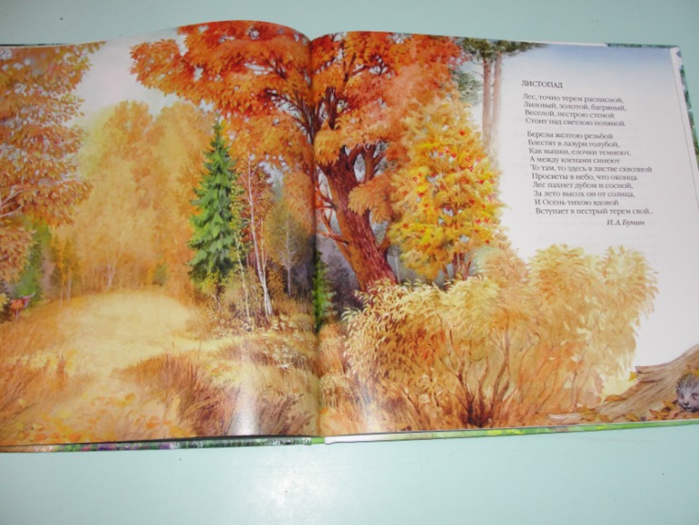 Книжный хваст