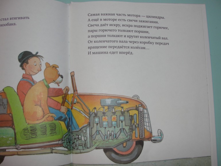 Книжный хваст