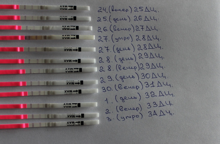 толи тесты дуратские толи у меня лыжи не едут(