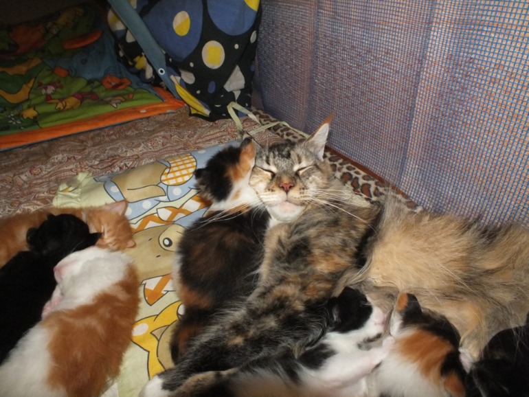 Мама с дочкой :)