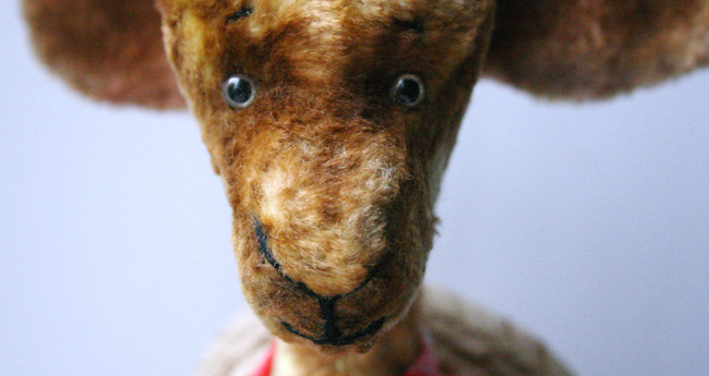 Путешественник Диего