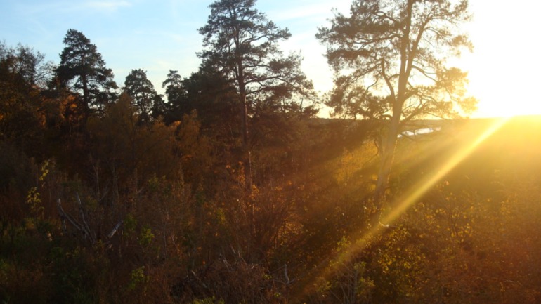 Каникулы в Мексике)))