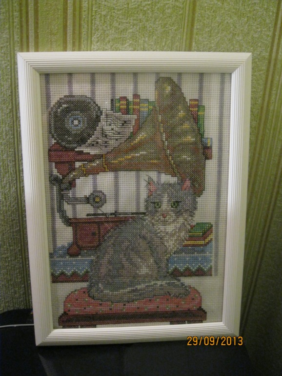 Котов не любить нельзя