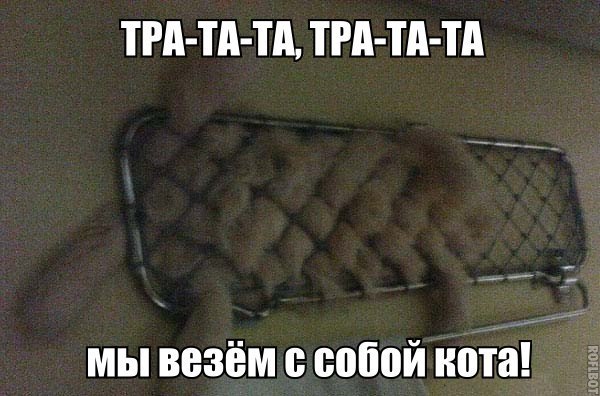 9446a2b0fe5e816cb9d35f15c1a8a5cd.jpg