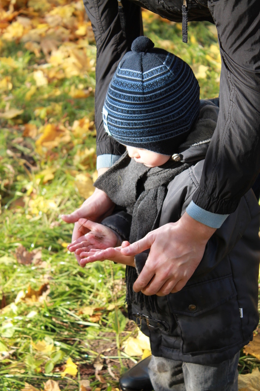 Д/З-Эпизод второй.Композиция.Правило третей.