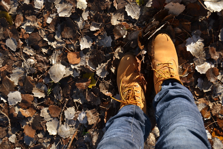 Наша запоздалая Осень!!!