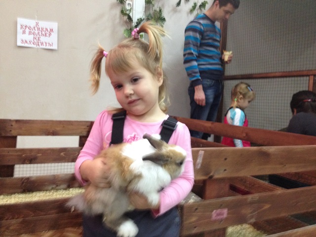 Контактный зоопарк 