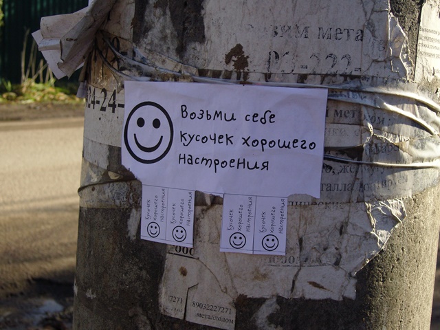 e97729879512950213035533de3a78cc.jpg