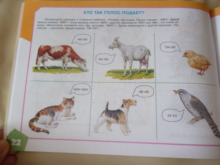Альбом по развитию речи для самых маленьких