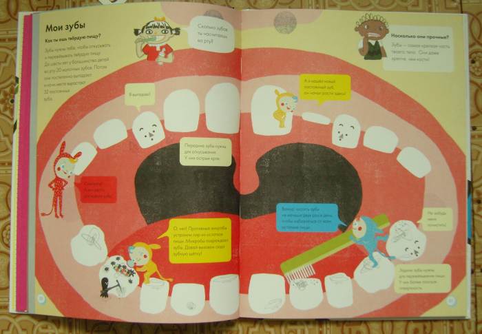 Мое тело.От макушки до пяток.