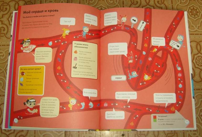 Мое тело.От макушки до пяток.